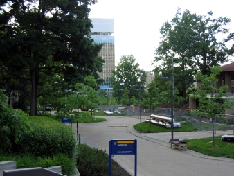 LpX