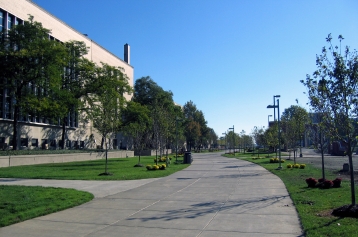 LpX