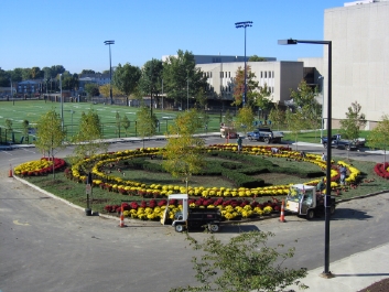 LpX
