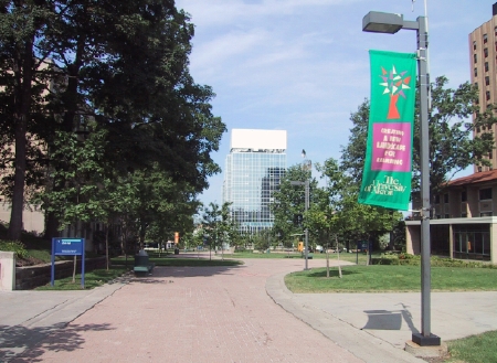 LpX