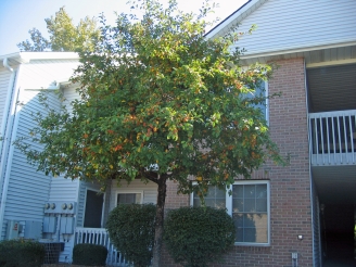 '07.10.6Apartment