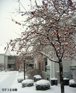 ϐApartment'07.12.7