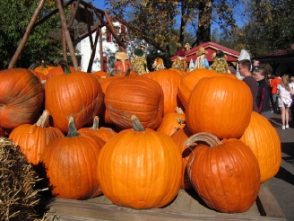 Halloween/'07.10.30