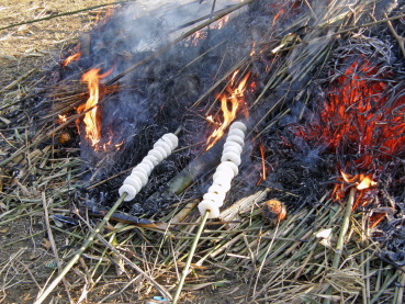 ւcqĂ