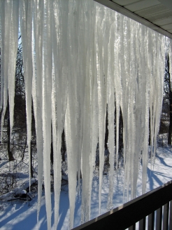 2/19