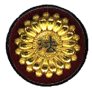 یi