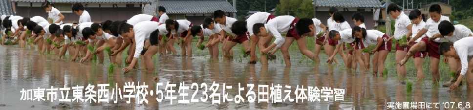 cAƂ̃pm}
