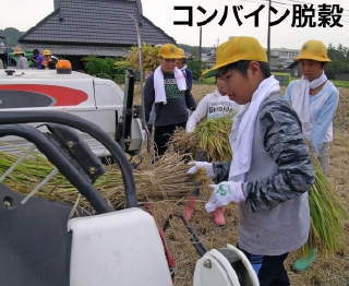 肭s