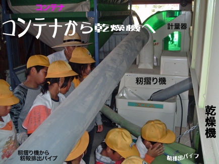 Rei犣@