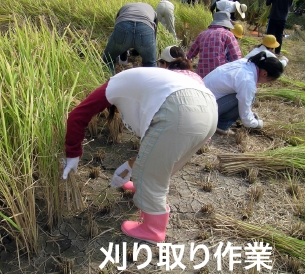 聕1