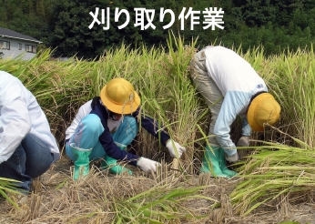 聕2