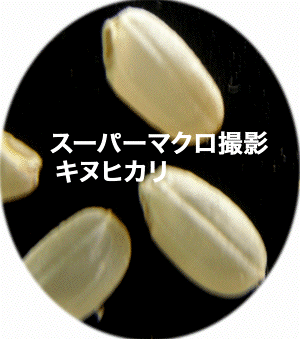 /LkqJ/X[p[}NBe