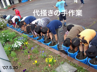 oPcy4