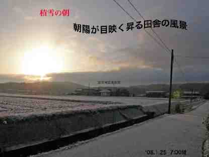 cɂ̌iF