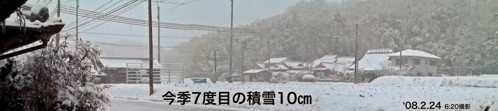 ϐ/'08.2.24