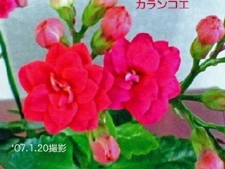 JRG