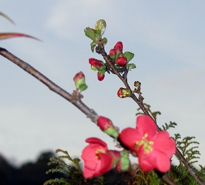 QԁAAbv