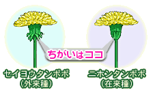ݗƊǑ