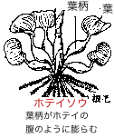 zeCAICEXPb`