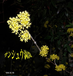 ̃TbVE