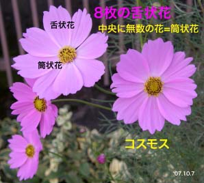 Ԃт