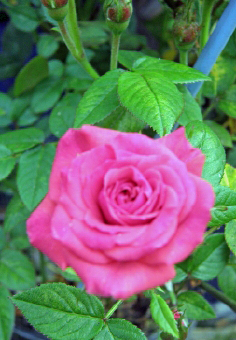 ~jo4EAbv