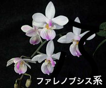 ԕ̈ʒu