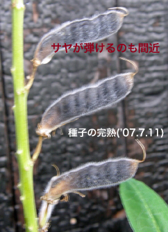 siX16ETn