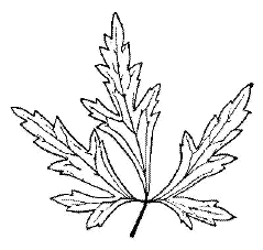 t̃XPb`
