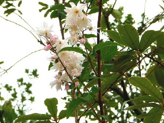 TTEcM5Q2