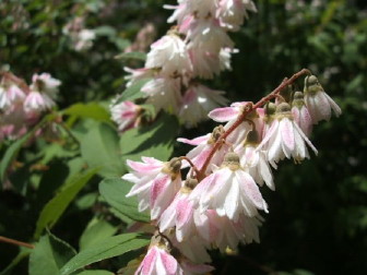 TTEcM7