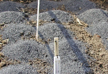 𕚂2
