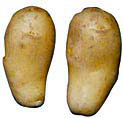 ̓[NC