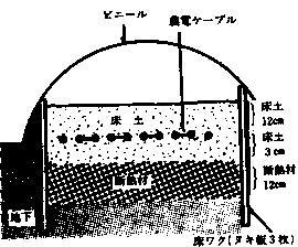 ȈՉ