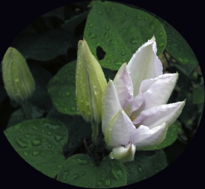 '06.5.18の朝