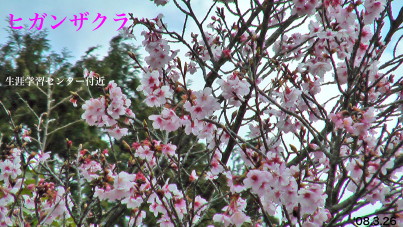 ΔȂ̃qKUN