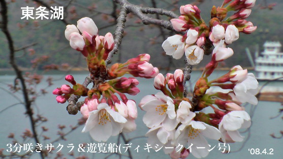 ΂̃\CVm