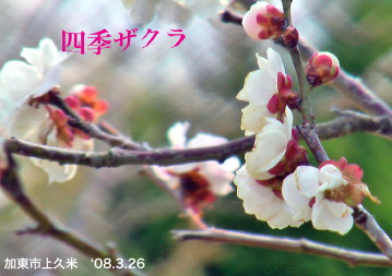 VideoCameraBe1