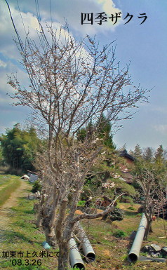 VideoCameraBe5